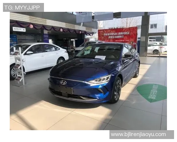 攀岩装备选购指南：如何选择适合你的护膝推荐